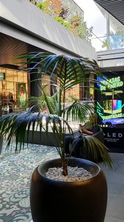 GC-Shopping Mogan Mall 2026-017.jpg